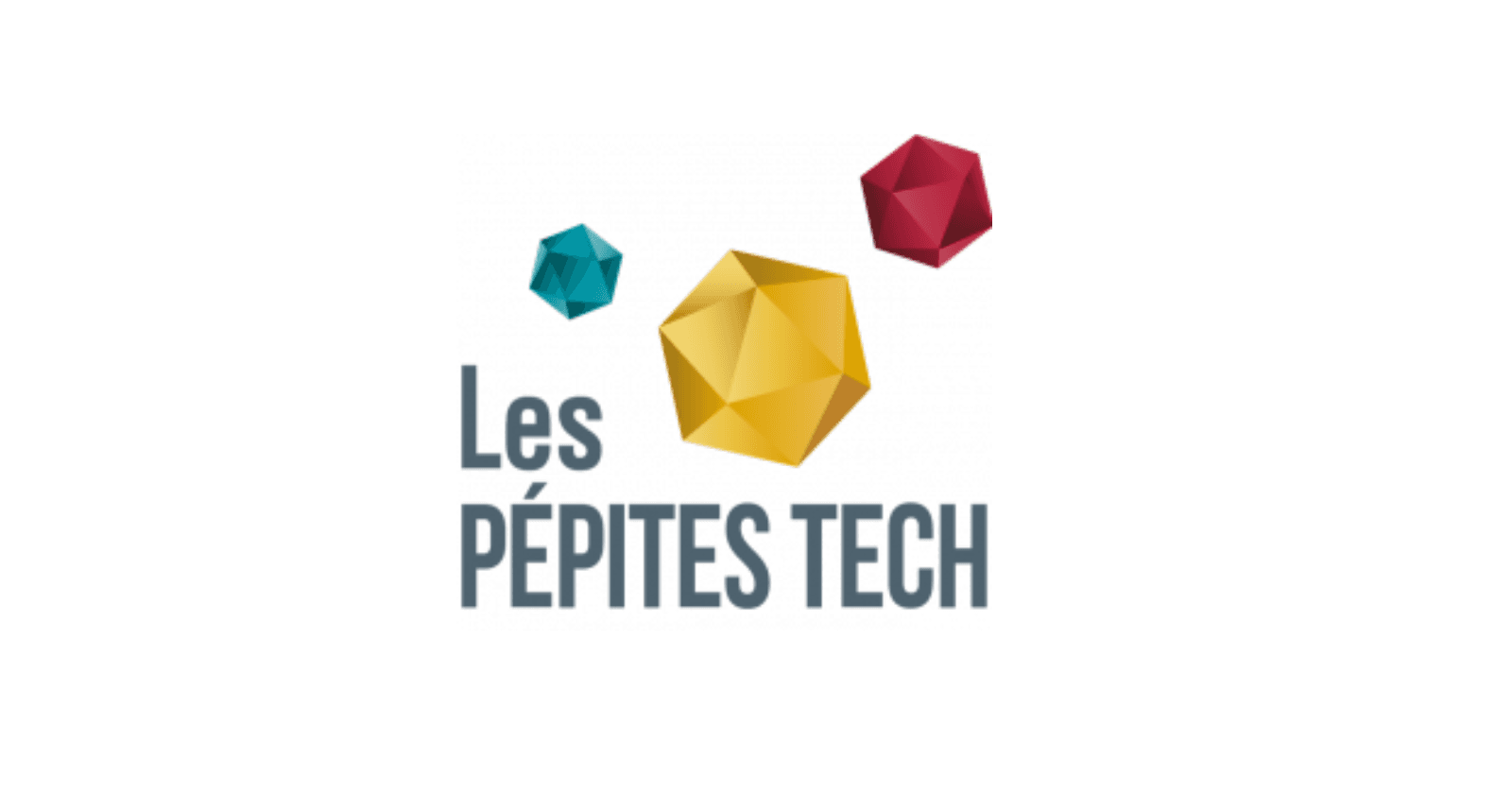 Lexaro compte parmi Les Pépites Tech